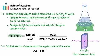 Rate of Reaction [IB Chemistry SL/HL]