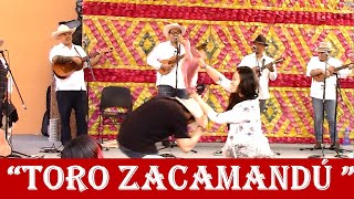 Video thumbnail of "El Toro Zacamandú - Los Parientes de Playa Vicente Veracruz."