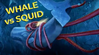 WHALE vs GIANT SQUID BATTLE | The Deep Season 4 | Undersea Adventures