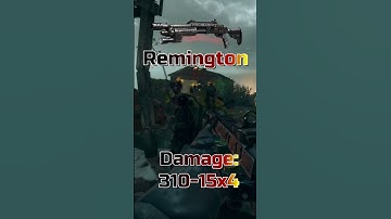 Remington VS Stakeout | Cod Zombies Weapon Comparison #shorts #gaming