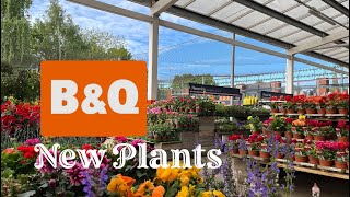 Brand New Plants at B&Q. Plant Shopping with me. Hints tips & plant care guide #bargain #gardening 