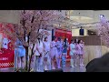 CIRRA  /   Always     アリオ八尾2026.3.22