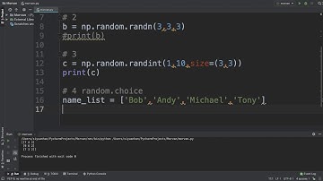Numpy Random ALL EXPLAINED!!!