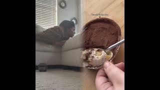 She was not expecting this 🤣 Black Friday promo is up — link in bio @Enabot #EBOAir2Plus