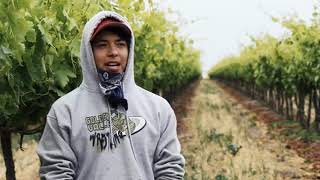 Cesar Chavez (FPHS)