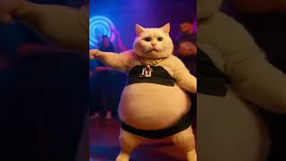 Fat Cat Spins Like A Beyblade On The Dance Floor You Wont Look Away