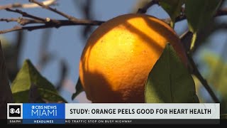 Orange peels good for heart health, University of Florida study suggests
