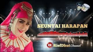 Seuntai Harapan_Elvy Sukaesih