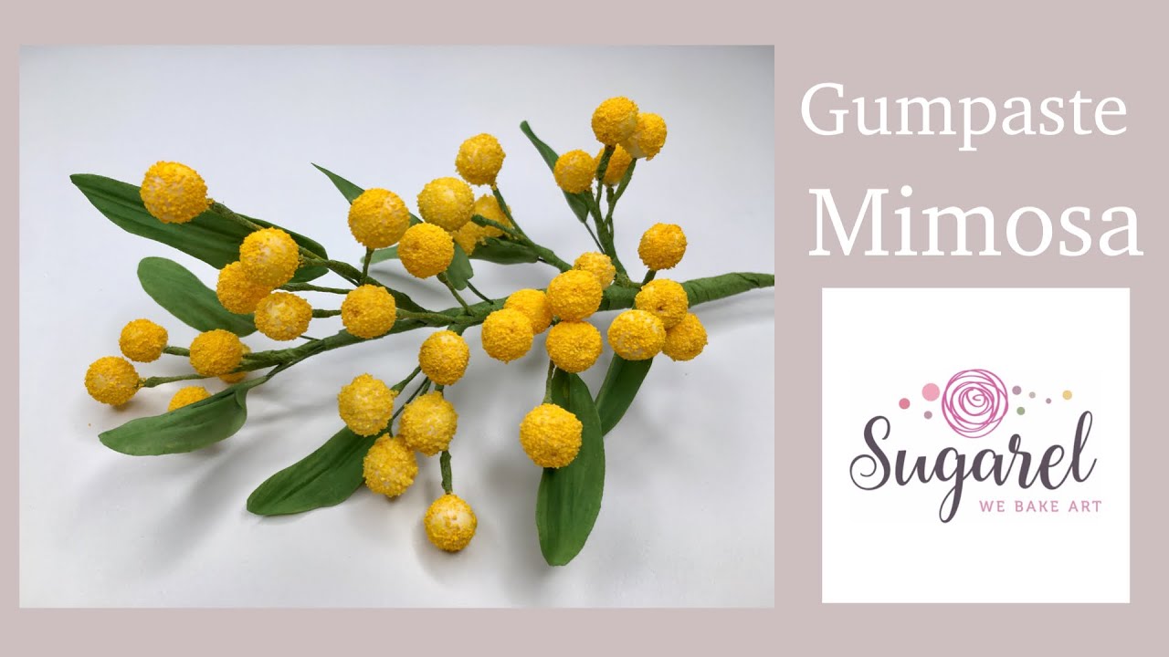 Gumpaste Mimosa flower branch زهرة الميموزا من عجينة السكر الغم بيست