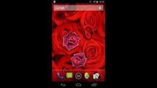 Roses Live Wallpaper screenshot 3