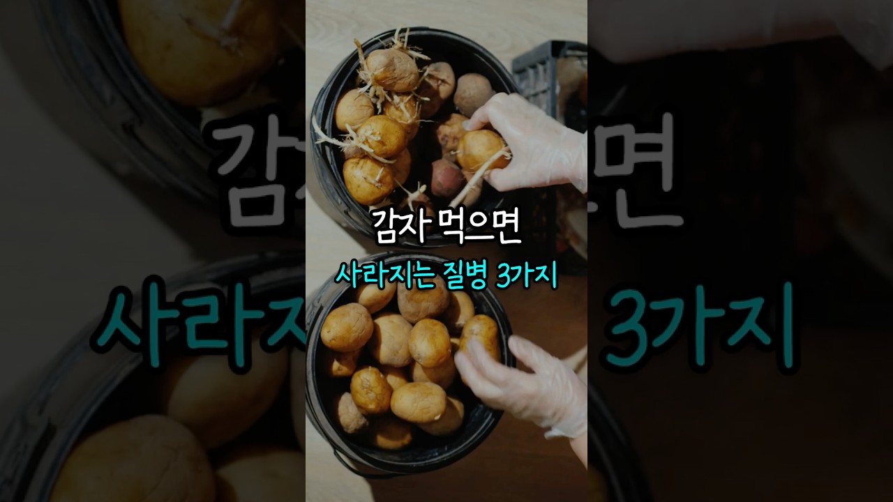 감자 먹으면 사라지는 질병 3가지 #건강 #생활정보 #건강정보 #음식
