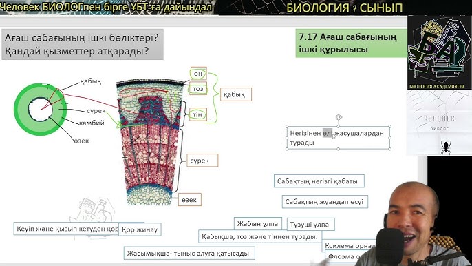 Ағаш адамының порносын түсірудің жұмыс сәттерін қараңыз