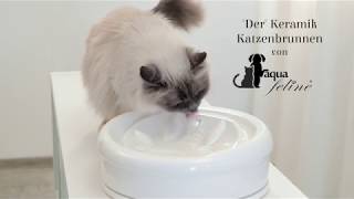 Aqua Feline Keramik Trinkbrunnen / Katzenbrunnen für Katzen mit Eheim®  Qualitätspumpe.