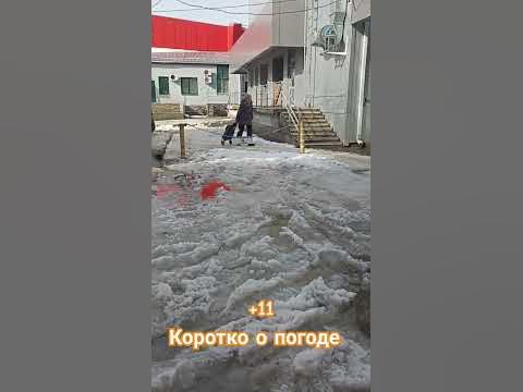 #погода #ставрополь #новости #снег #зима - YouTube