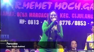 PERCUMA COVER YAYAH MP mustika paksi