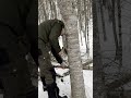 🪵BIVOUAC HIVERNAL🪵 Nouvelle vidéo en ligne! 4K #bivouac #wintercamping #bushcraft #tarpshelter