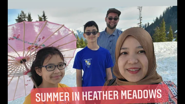 Summer July 2nd 2022 in Heather Meadows, Washingto...