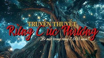 Rừng Cúc Phương – Điều Gì Ẩn Sau Khu Rừng Nguyên Sinh 7.000 Năm?