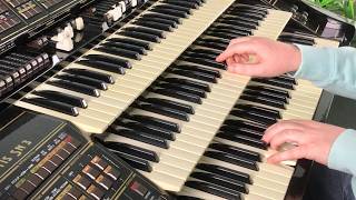 Fly Away Pretty Flamingo (Tina Rainford) - Pop Organ Hits Cover / Florian Hutter - Wersi Atlantis