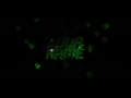 Epic green  blue sync panzoid intro template  15 likes o  kili graphics