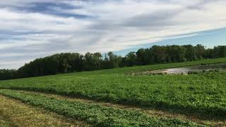 Walk around of the John Deere 4895 hay cutter