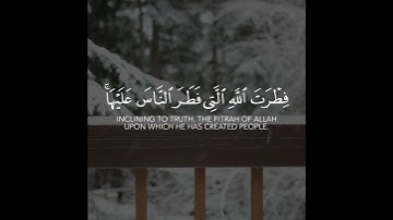 أجمل حالات واتس اب قرآن كريم بدون حقوق بصوت عبدالله الخلف | صوت خاشع يريح القلب❤😴