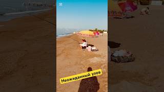 Даже так можно ! #fishing #море #средиземноморье #анталья #рыбалка #удочка