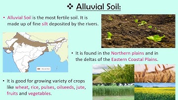 Soils of India, CBSE, SST/EVS, Class- 4