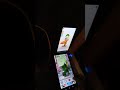 Talking Pierre The Parrot Vs Talking Pato 