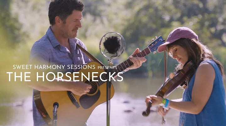 The Horsenecks | "Red Rocking Chair" | California Bluegrass Association x Sweet Harmony