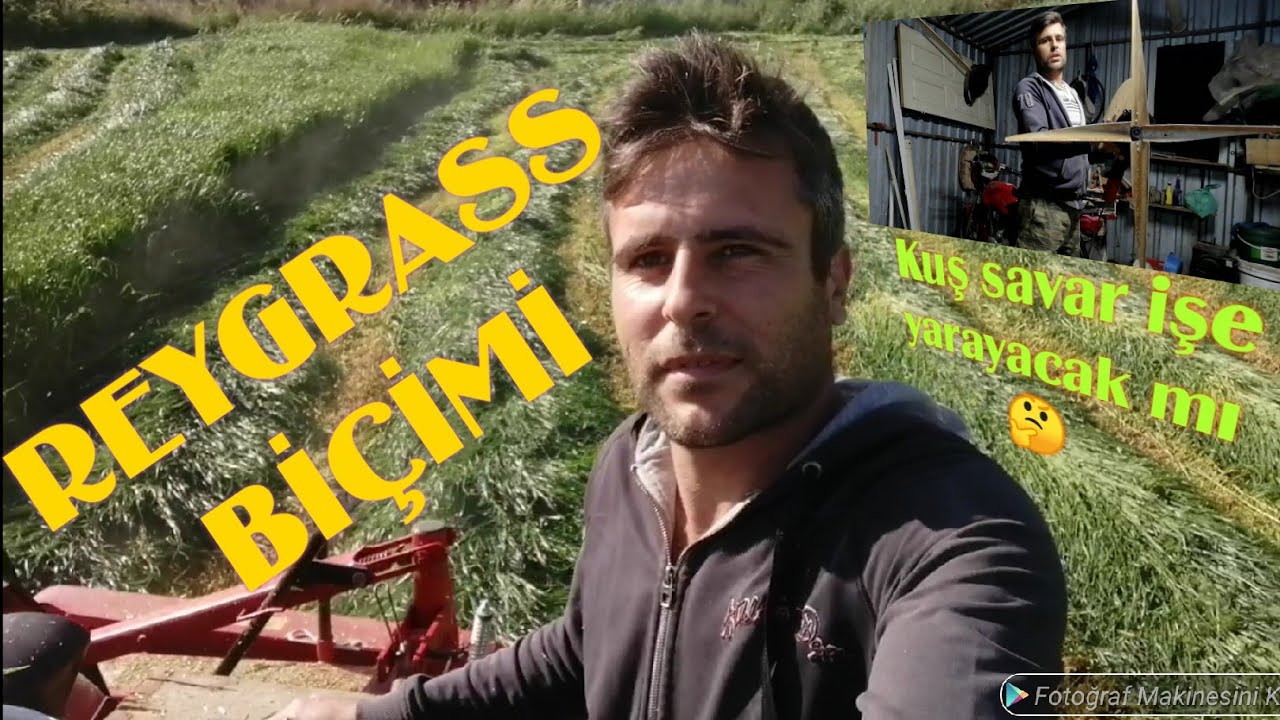 tanbur ile reygras otu biçimi - kışlık yiyecekler hazır-  KUŞ KOVUCU RÜZGAR GÜLÜ NÜ YAPIYORUZ-