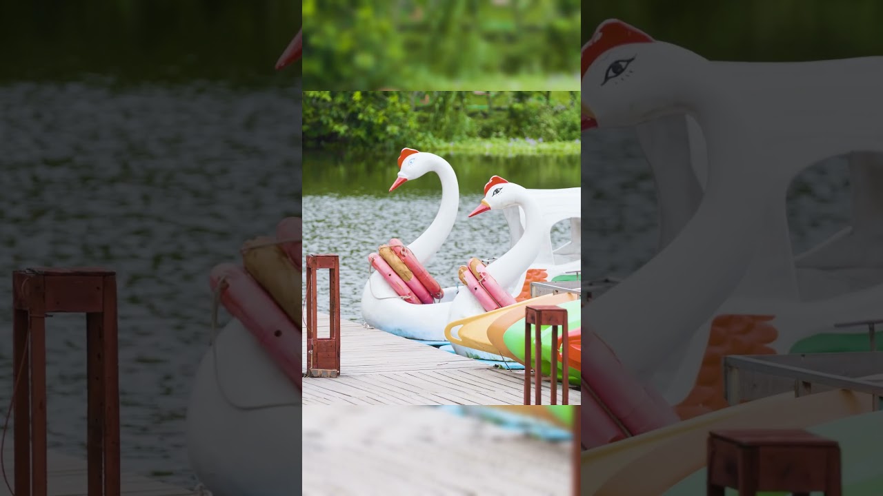 Khu Du Lịch Sinh Thái Hồ Bầu Tiên Bắc Ninh: Cắm Trại, Chèo Kayak & Trải Nghiệm Miệt Vườn Cực Chill