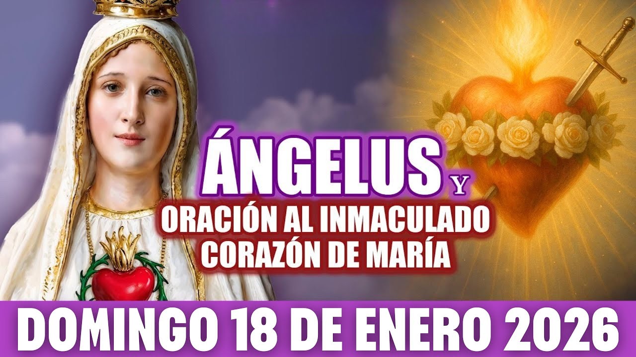 ÁNGELUS DE HOY DOMINGO 18 DE ENERO DE 2026 - Encuentro con la Virgen María