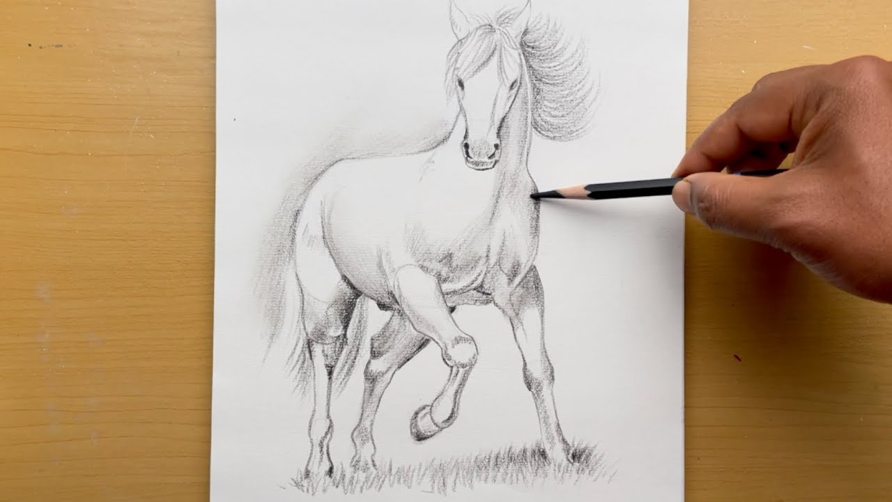 How to draw a horse step by step | Pencil shading - YouTube