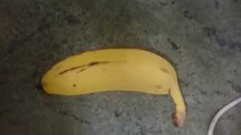Double banana?!