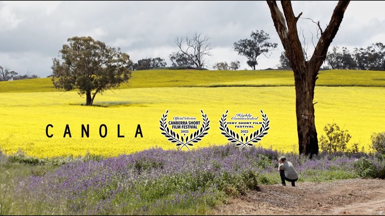 Canola - A photographers story