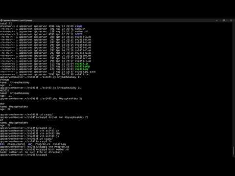 Shell Script: Merge Script Between PHP, Pyton, NodeJS and C#