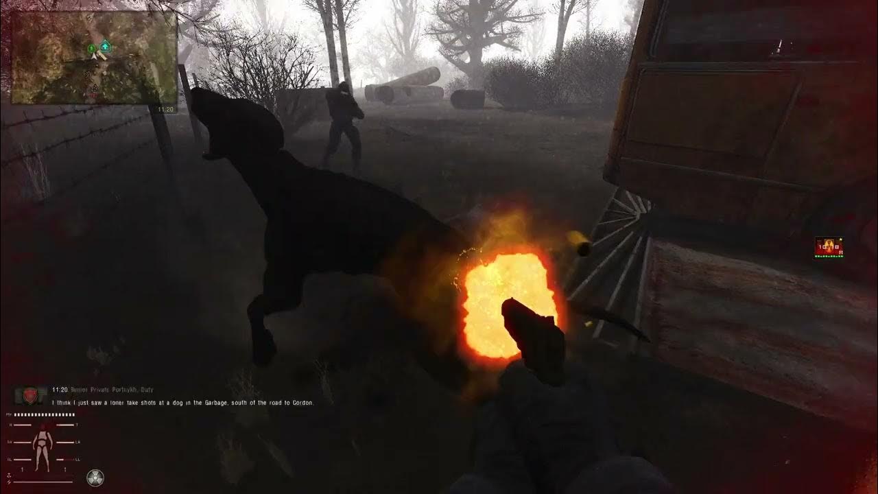 Stalker GAMMA Ep17 2/5 Basic Tools found we need those ADVANCED TOOLS YouTube