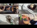 【 vlog#19 】看護師5年目の日常|new iPhone case📱🤍|お菓子作り|テリーヌショコラ