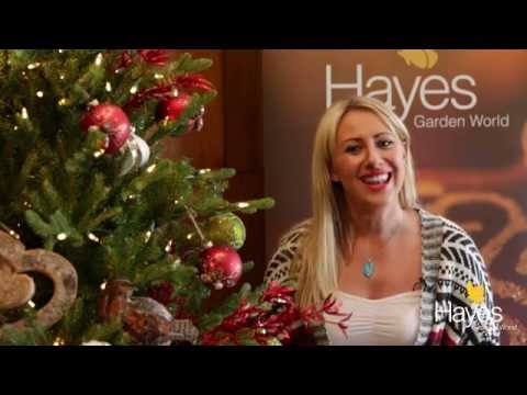 Video: How To Choose A Christmas Tree: Looking For Our Forest Beauty