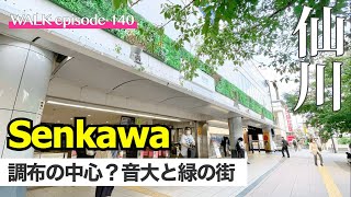 4K【仙川】調布一のおしゃれタウン&桐朋大学がある音楽の街、東京・仙川の街を散歩 / walking tours at Senkawa street Shoufu Tokyo Japan
