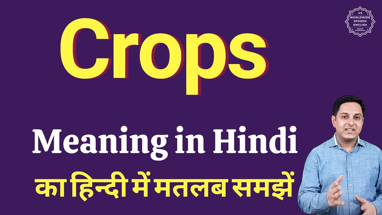 Crops meaning in Hindi Crops ka matlab kya hota hai YouTube