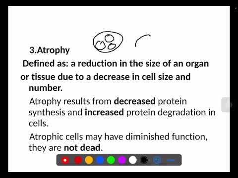 Pathology Course Lecture 2 Adaptation 