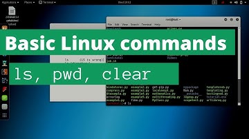 Basic Linux Commands |ls|pwd|clear|Kali Linux