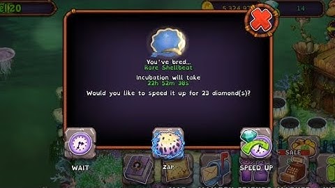 RARE SHELLBEAT? ((FIRST TRY))