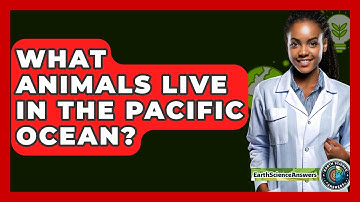 What Animals Live In The Pacific Ocean? - Earth Science Answers