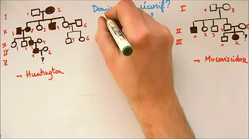 Comment faire de la généalogie ? Comment faire de la généalogie ?
