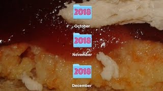 Semi-Sweet Round Up: October - December 2018