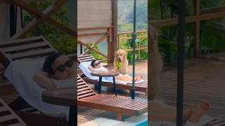 Fuuny Dog moments 😂 #petlife #funny #animallife