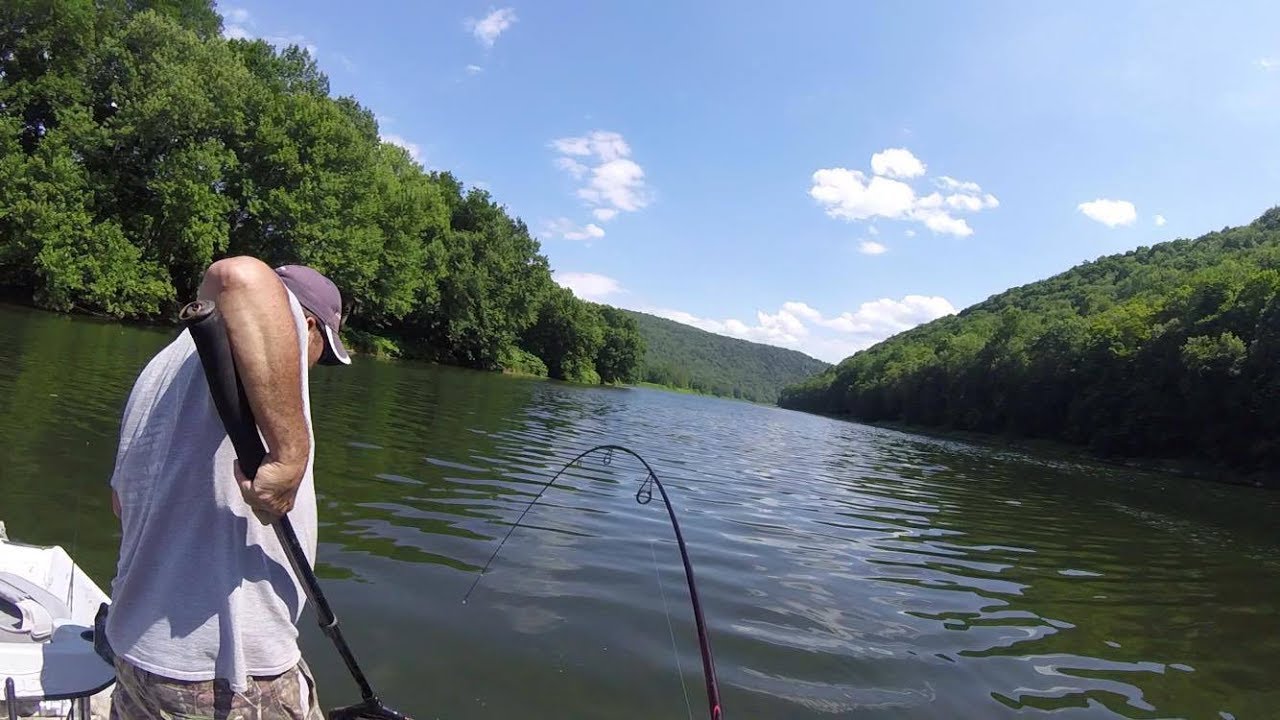 Hooked up with a Monster Delaware River Catfish!!! YouTube